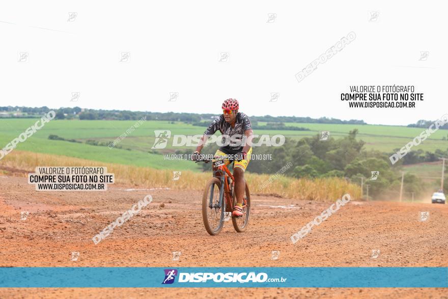 1ª EDIÇÃO DESAFIO ABELHA GRANDE - XCM