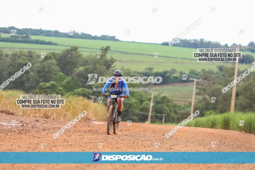 1ª EDIÇÃO DESAFIO ABELHA GRANDE - XCM