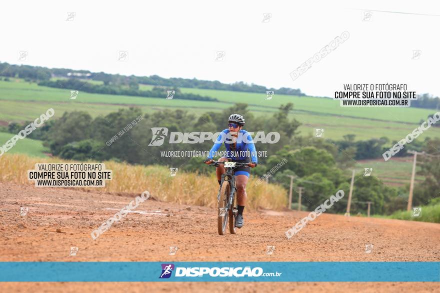 1ª EDIÇÃO DESAFIO ABELHA GRANDE - XCM