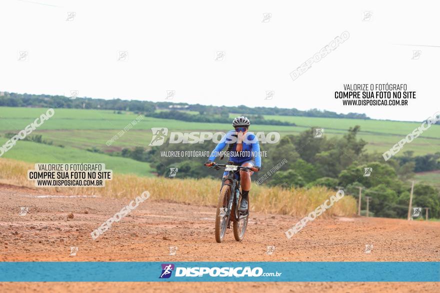 1ª EDIÇÃO DESAFIO ABELHA GRANDE - XCM