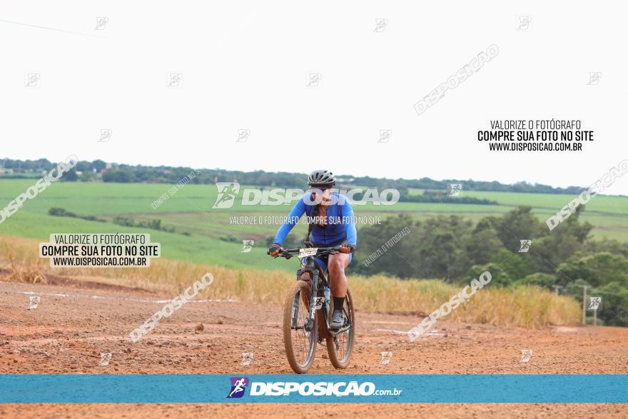 1ª EDIÇÃO DESAFIO ABELHA GRANDE - XCM