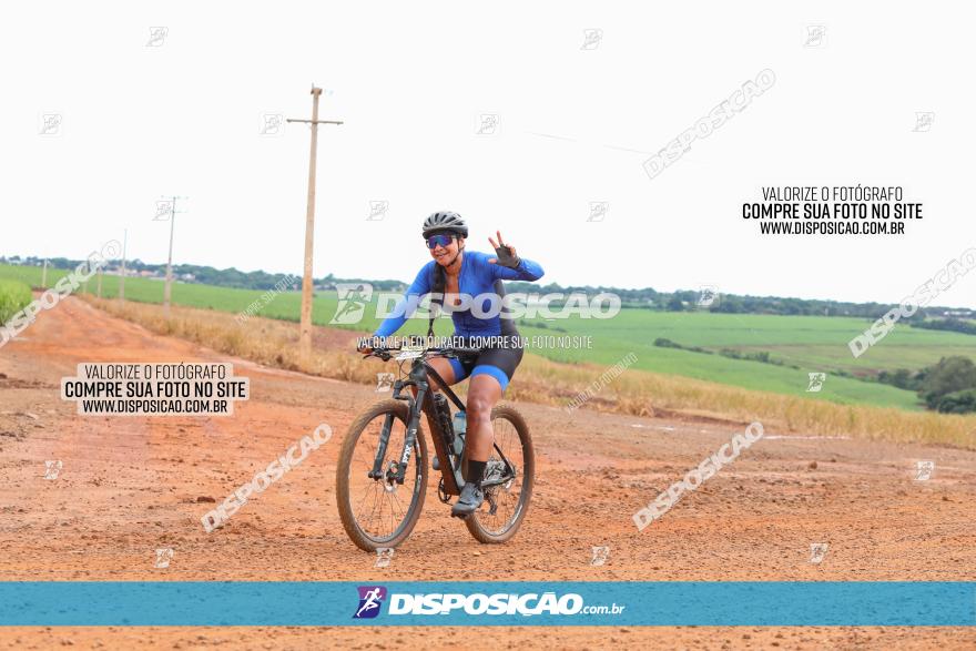 1ª EDIÇÃO DESAFIO ABELHA GRANDE - XCM