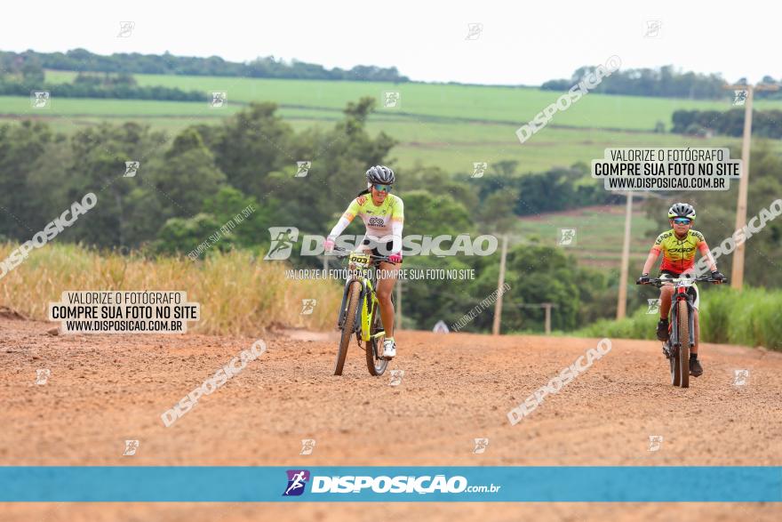 1ª EDIÇÃO DESAFIO ABELHA GRANDE - XCM