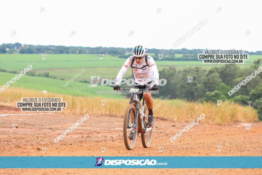 1ª EDIÇÃO DESAFIO ABELHA GRANDE - XCM