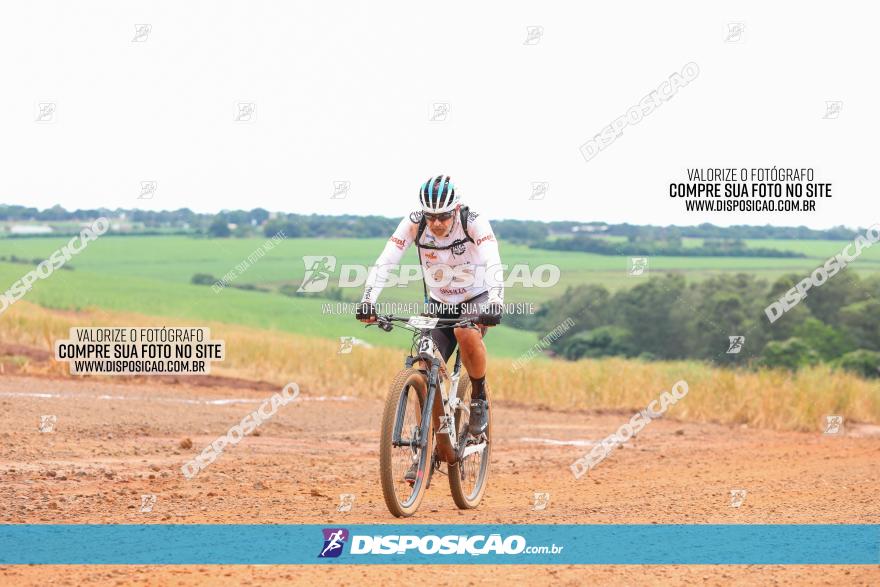 1ª EDIÇÃO DESAFIO ABELHA GRANDE - XCM