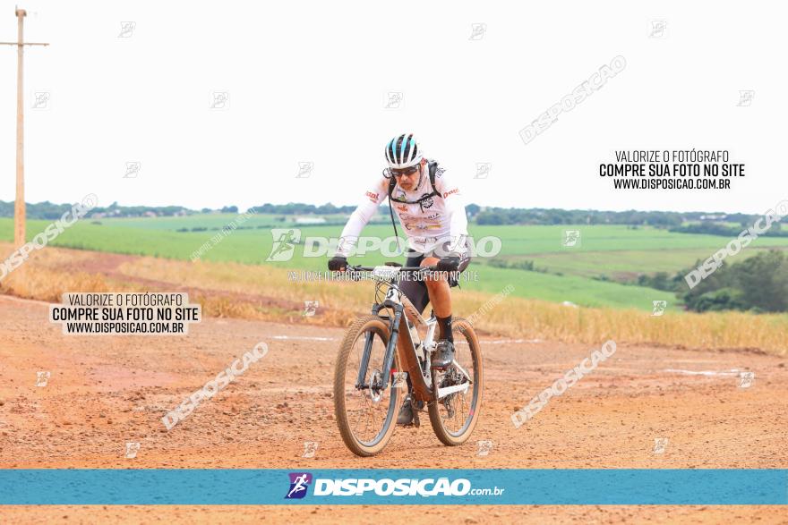 1ª EDIÇÃO DESAFIO ABELHA GRANDE - XCM