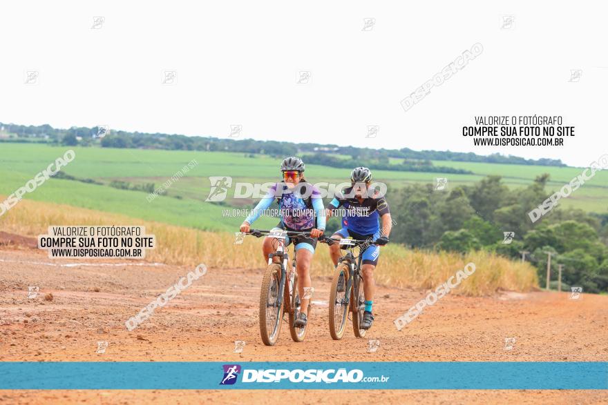 1ª EDIÇÃO DESAFIO ABELHA GRANDE - XCM