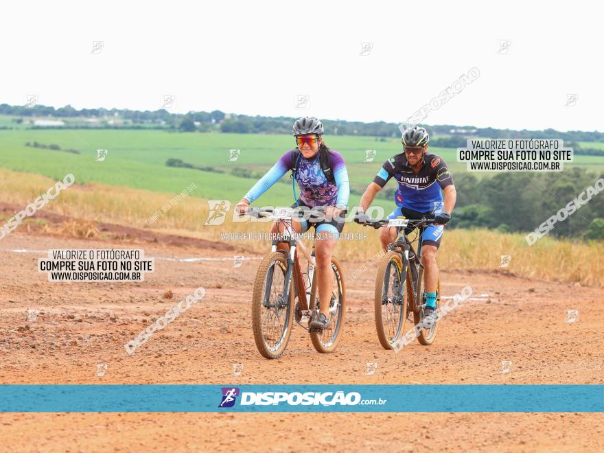 1ª EDIÇÃO DESAFIO ABELHA GRANDE - XCM