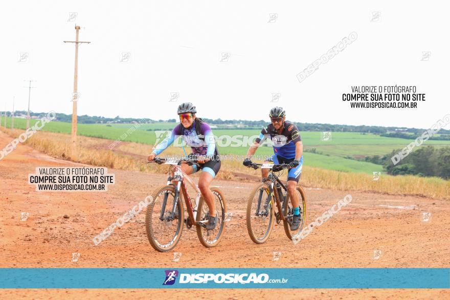 1ª EDIÇÃO DESAFIO ABELHA GRANDE - XCM