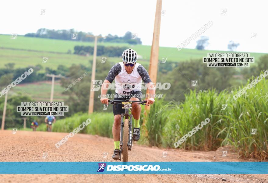 1ª EDIÇÃO DESAFIO ABELHA GRANDE - XCM