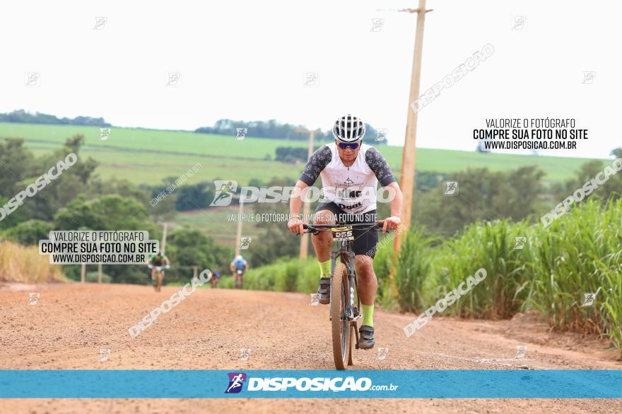 1ª EDIÇÃO DESAFIO ABELHA GRANDE - XCM