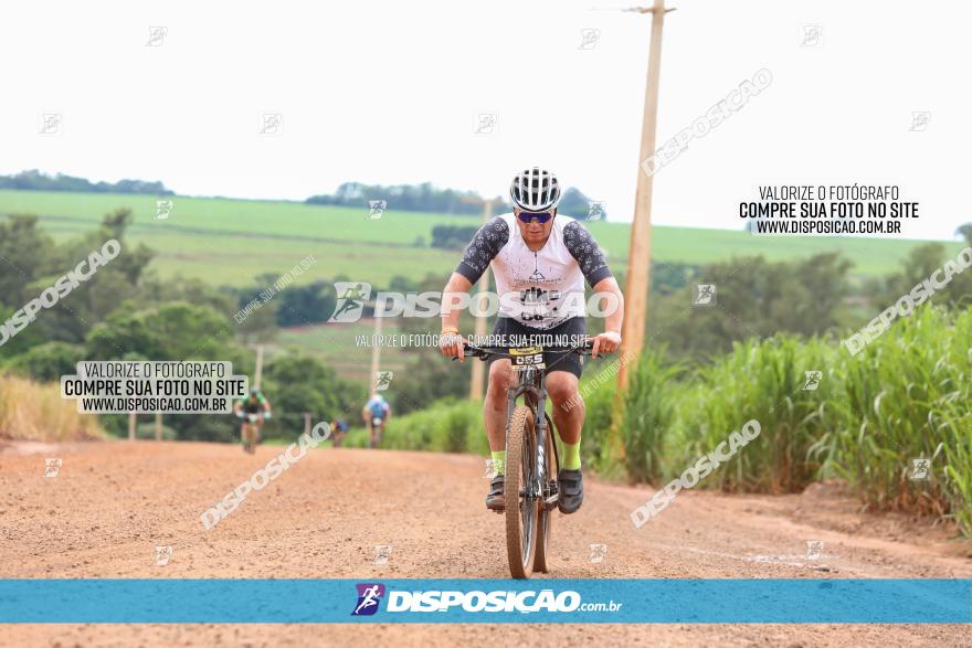 1ª EDIÇÃO DESAFIO ABELHA GRANDE - XCM