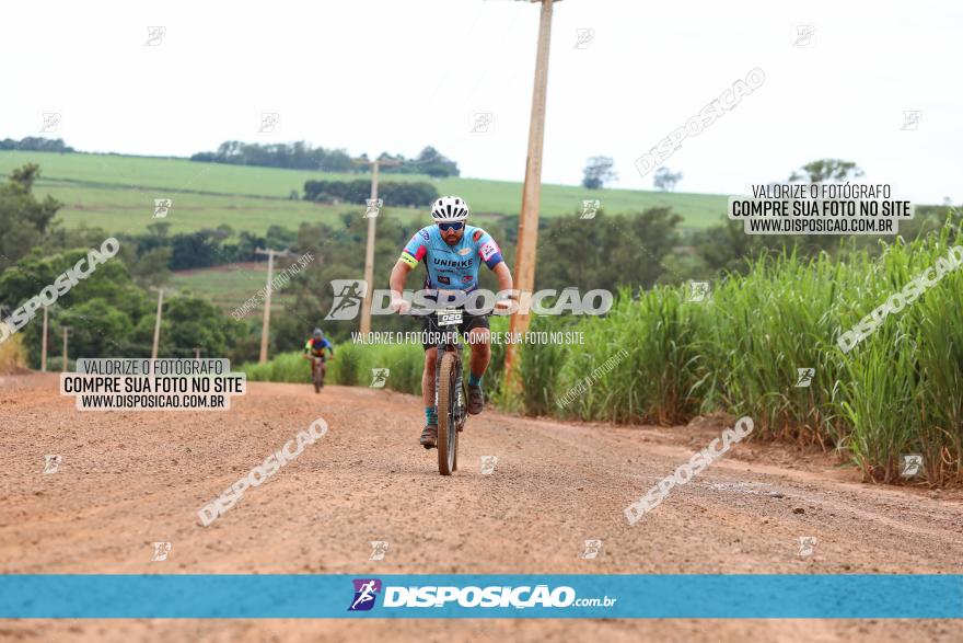 1ª EDIÇÃO DESAFIO ABELHA GRANDE - XCM