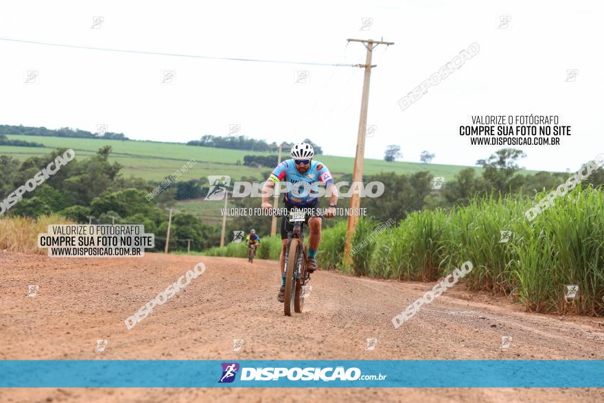 1ª EDIÇÃO DESAFIO ABELHA GRANDE - XCM