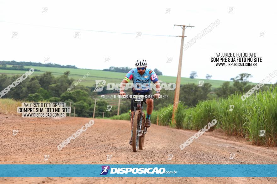 1ª EDIÇÃO DESAFIO ABELHA GRANDE - XCM