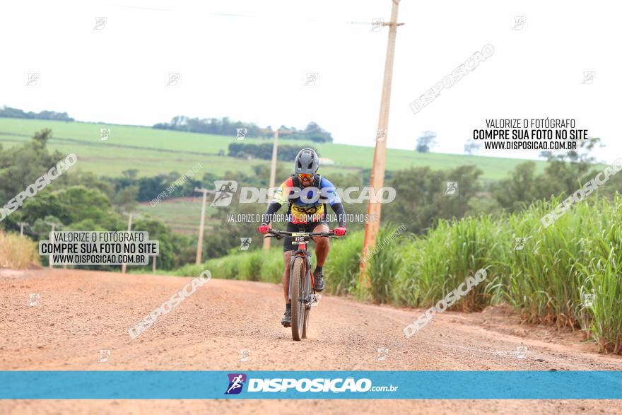 1ª EDIÇÃO DESAFIO ABELHA GRANDE - XCM