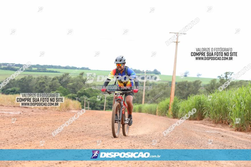 1ª EDIÇÃO DESAFIO ABELHA GRANDE - XCM