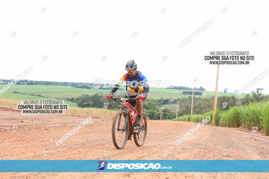 1ª EDIÇÃO DESAFIO ABELHA GRANDE - XCM