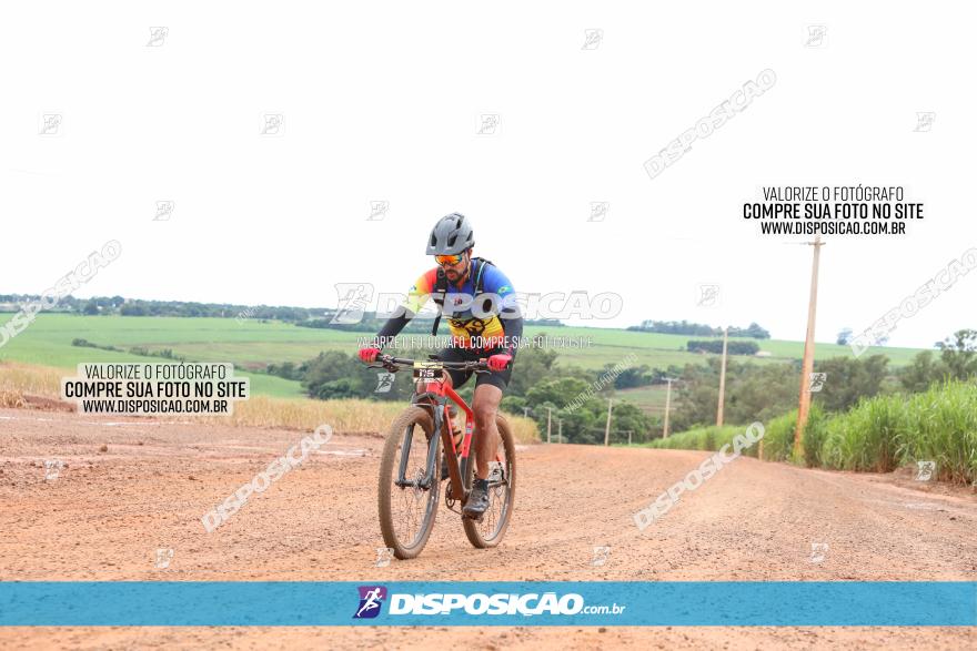 1ª EDIÇÃO DESAFIO ABELHA GRANDE - XCM