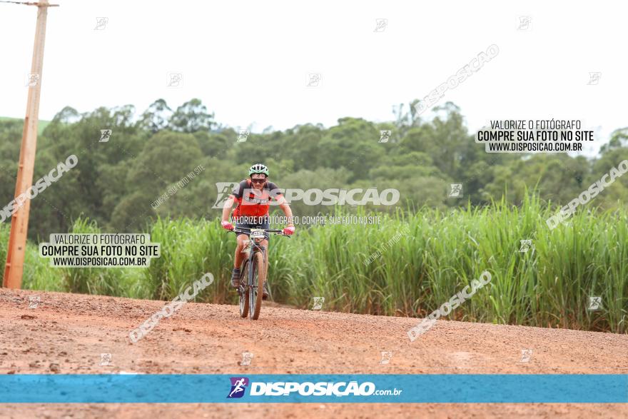 1ª EDIÇÃO DESAFIO ABELHA GRANDE - XCM