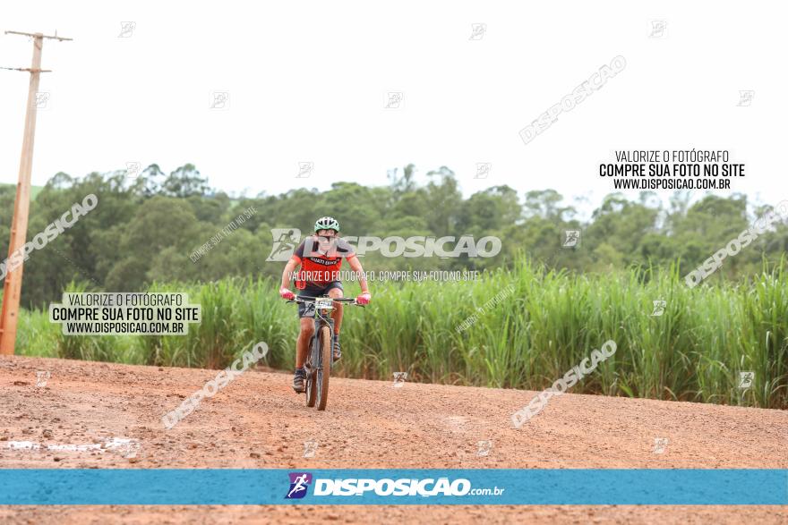 1ª EDIÇÃO DESAFIO ABELHA GRANDE - XCM