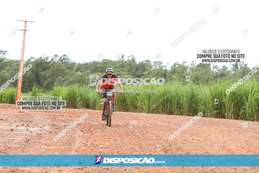 1ª EDIÇÃO DESAFIO ABELHA GRANDE - XCM