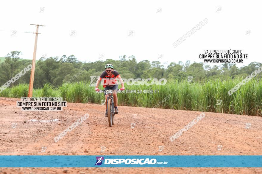 1ª EDIÇÃO DESAFIO ABELHA GRANDE - XCM