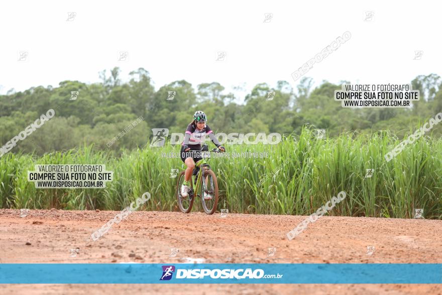 1ª EDIÇÃO DESAFIO ABELHA GRANDE - XCM