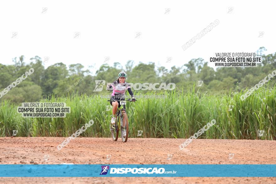 1ª EDIÇÃO DESAFIO ABELHA GRANDE - XCM