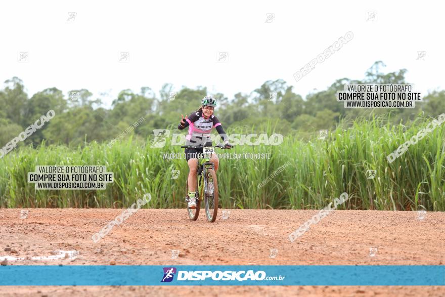 1ª EDIÇÃO DESAFIO ABELHA GRANDE - XCM