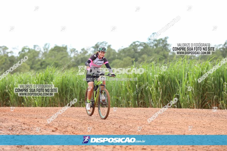 1ª EDIÇÃO DESAFIO ABELHA GRANDE - XCM