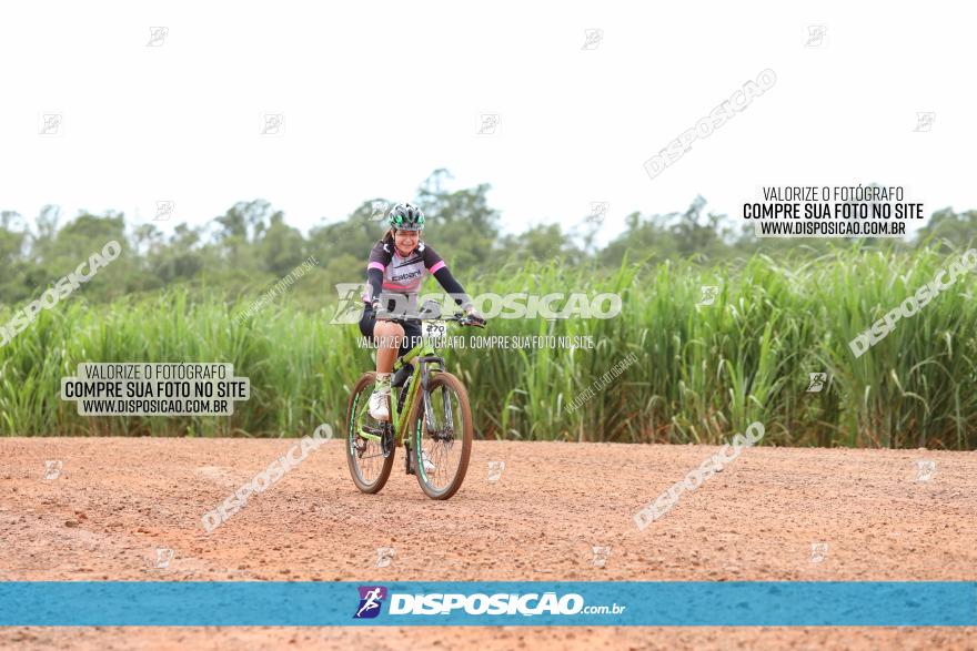 1ª EDIÇÃO DESAFIO ABELHA GRANDE - XCM