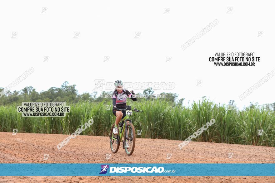 1ª EDIÇÃO DESAFIO ABELHA GRANDE - XCM