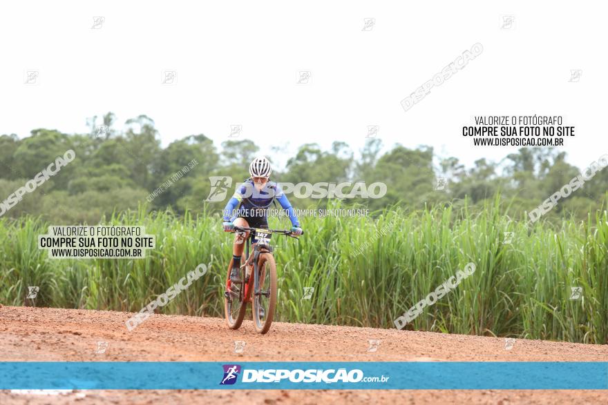 1ª EDIÇÃO DESAFIO ABELHA GRANDE - XCM