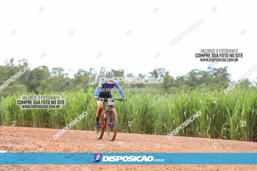 1ª EDIÇÃO DESAFIO ABELHA GRANDE - XCM