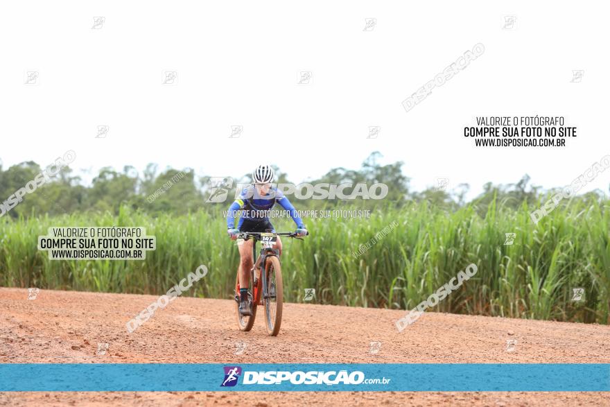 1ª EDIÇÃO DESAFIO ABELHA GRANDE - XCM