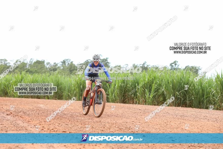 1ª EDIÇÃO DESAFIO ABELHA GRANDE - XCM