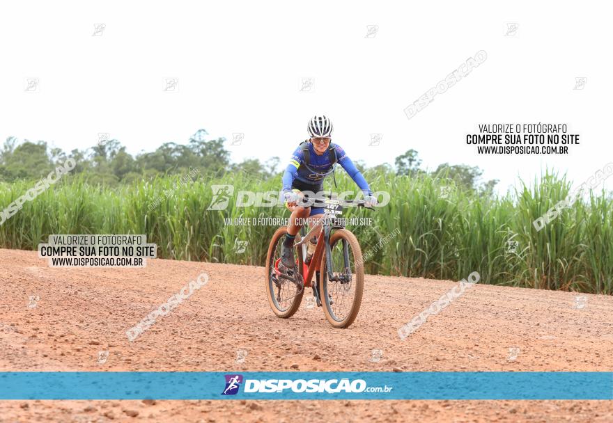 1ª EDIÇÃO DESAFIO ABELHA GRANDE - XCM