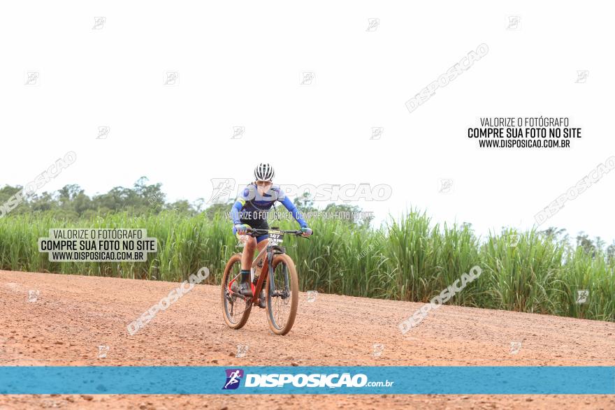 1ª EDIÇÃO DESAFIO ABELHA GRANDE - XCM