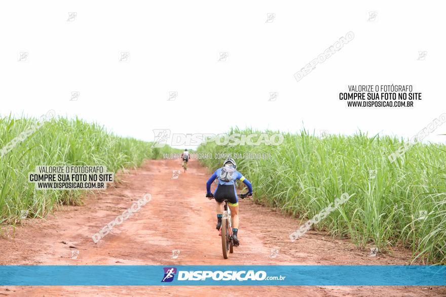 1ª EDIÇÃO DESAFIO ABELHA GRANDE - XCM