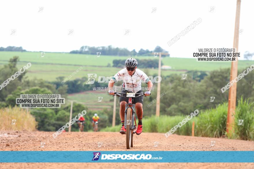 1ª EDIÇÃO DESAFIO ABELHA GRANDE - XCM