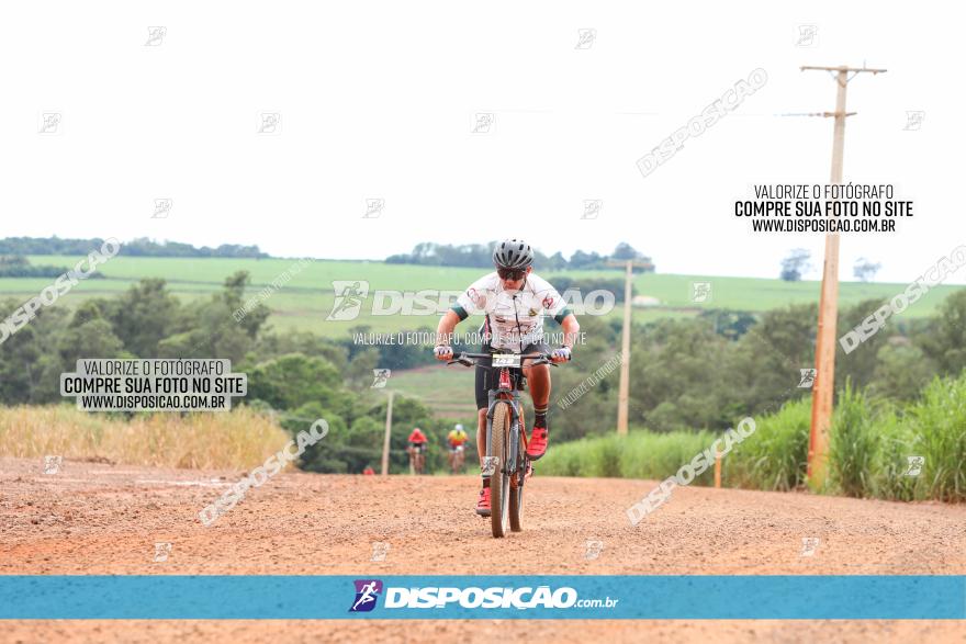 1ª EDIÇÃO DESAFIO ABELHA GRANDE - XCM