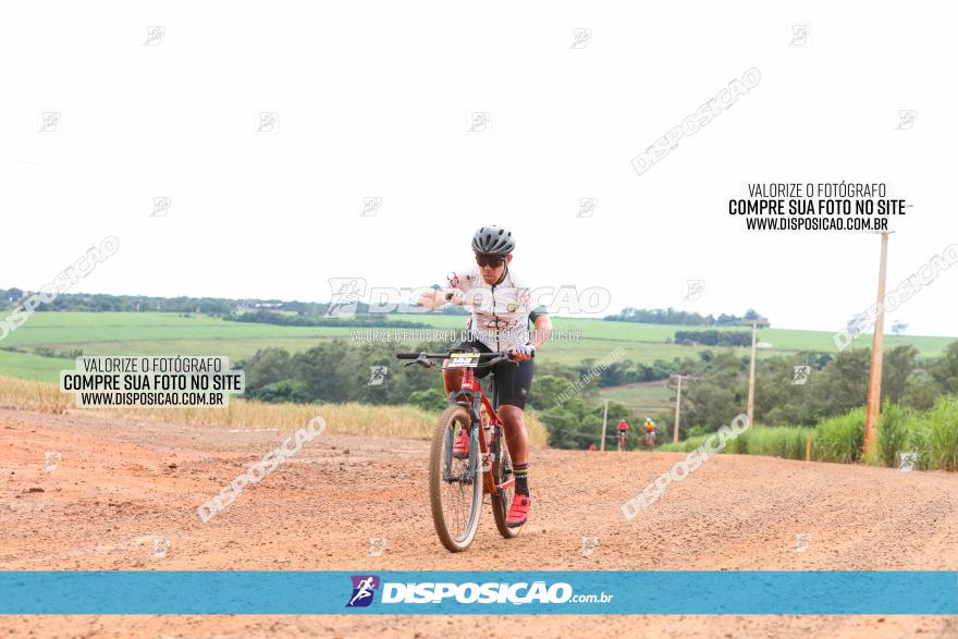 1ª EDIÇÃO DESAFIO ABELHA GRANDE - XCM