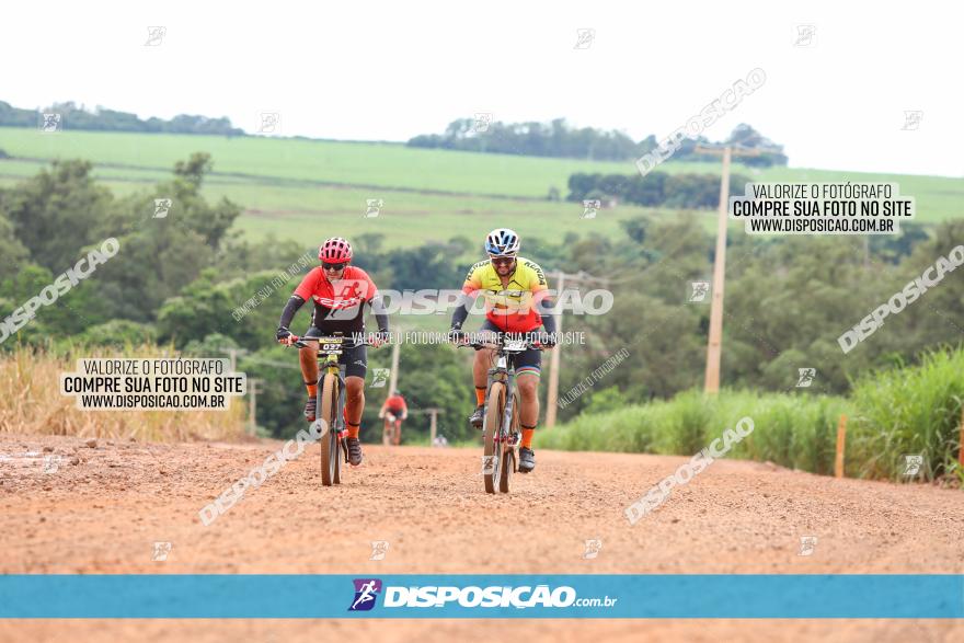 1ª EDIÇÃO DESAFIO ABELHA GRANDE - XCM