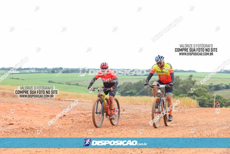 1ª EDIÇÃO DESAFIO ABELHA GRANDE - XCM