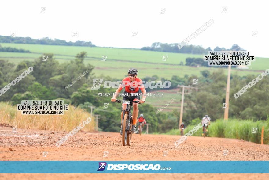 1ª EDIÇÃO DESAFIO ABELHA GRANDE - XCM