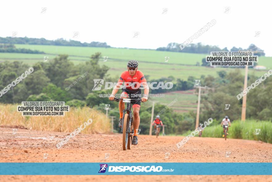 1ª EDIÇÃO DESAFIO ABELHA GRANDE - XCM