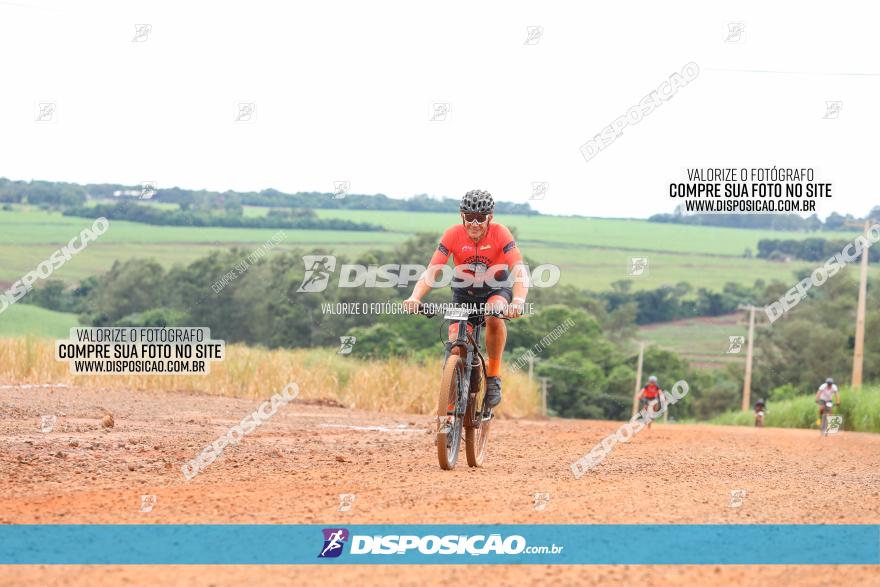 1ª EDIÇÃO DESAFIO ABELHA GRANDE - XCM