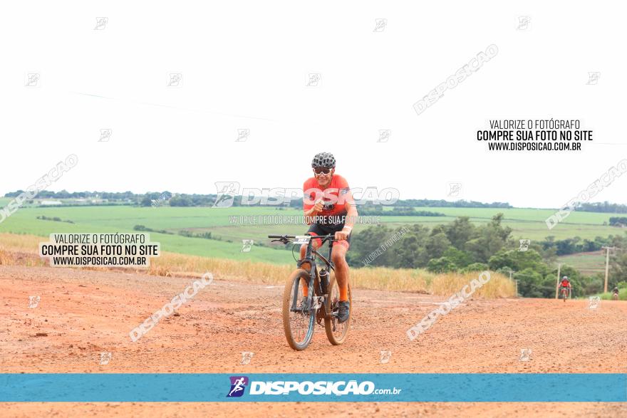 1ª EDIÇÃO DESAFIO ABELHA GRANDE - XCM