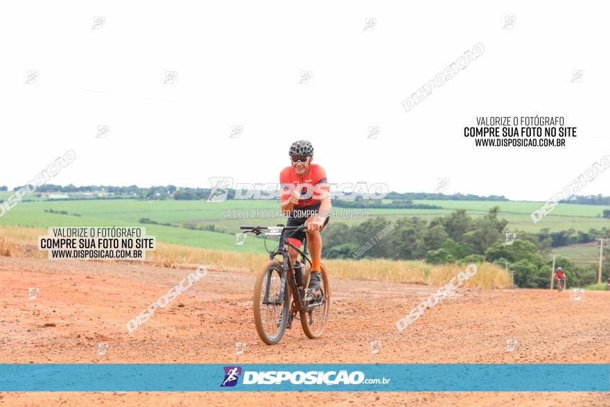 1ª EDIÇÃO DESAFIO ABELHA GRANDE - XCM